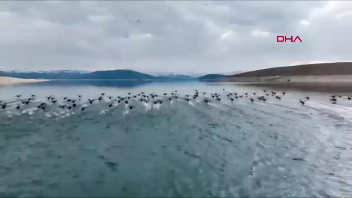 Tunceli’de Kaçak Sakarmeke Avcıları Dronla Yakalandı